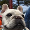 どやっ。