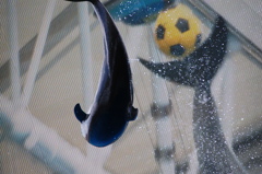 KICK!