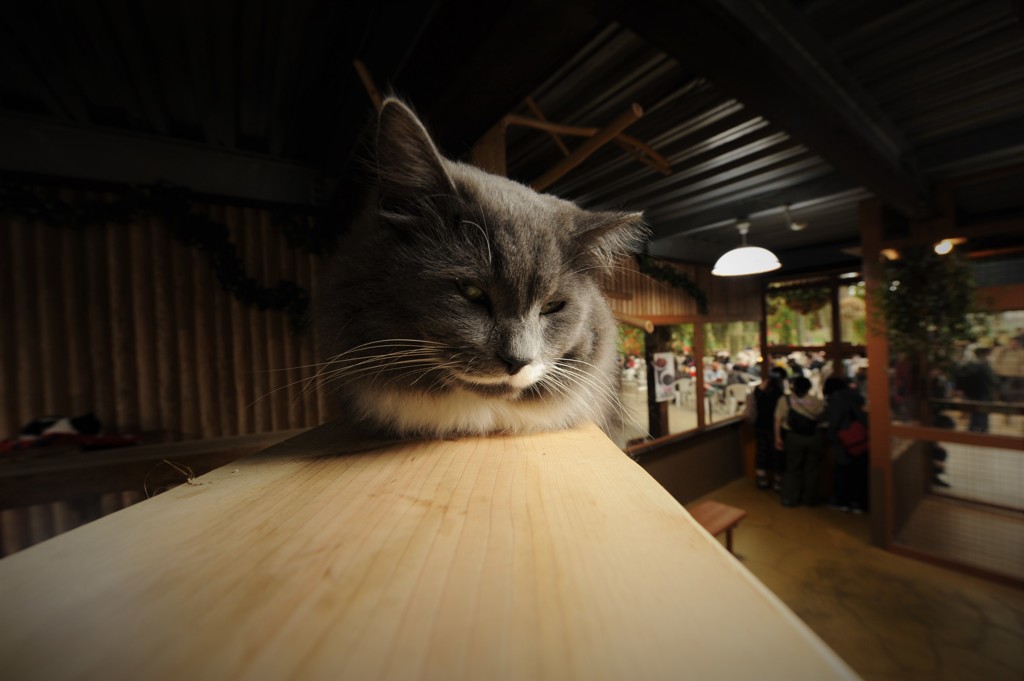 見張り番