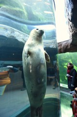 ﾄﾞﾔｧ!!