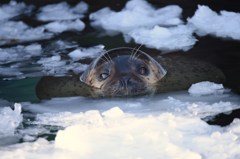 目が合って