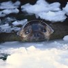目が合って