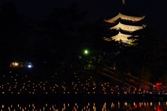 五重塔の存在感