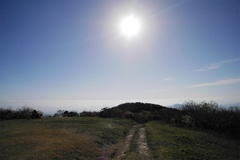 太陽の近く（ちょっとだけ