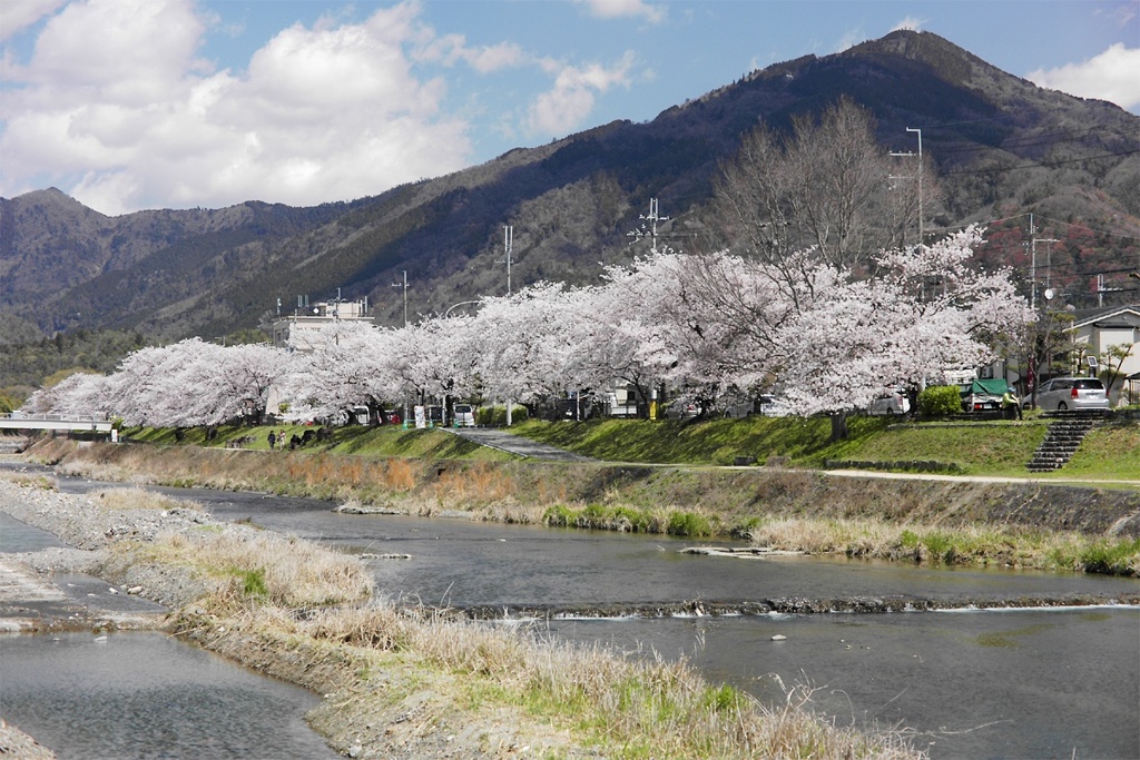 川沿いを散歩