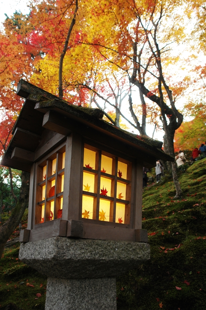 常寂光寺の心粋