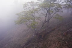 山の天気は移ろい易く