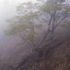 山の天気は移ろい易く