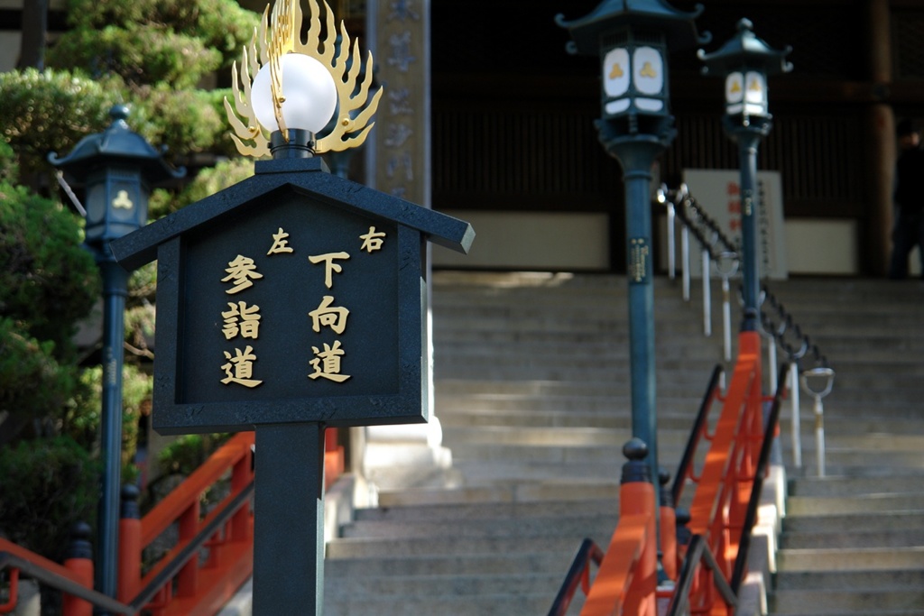 右か左か