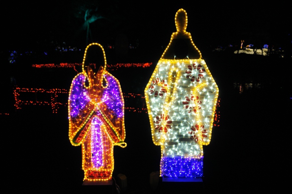 見える？