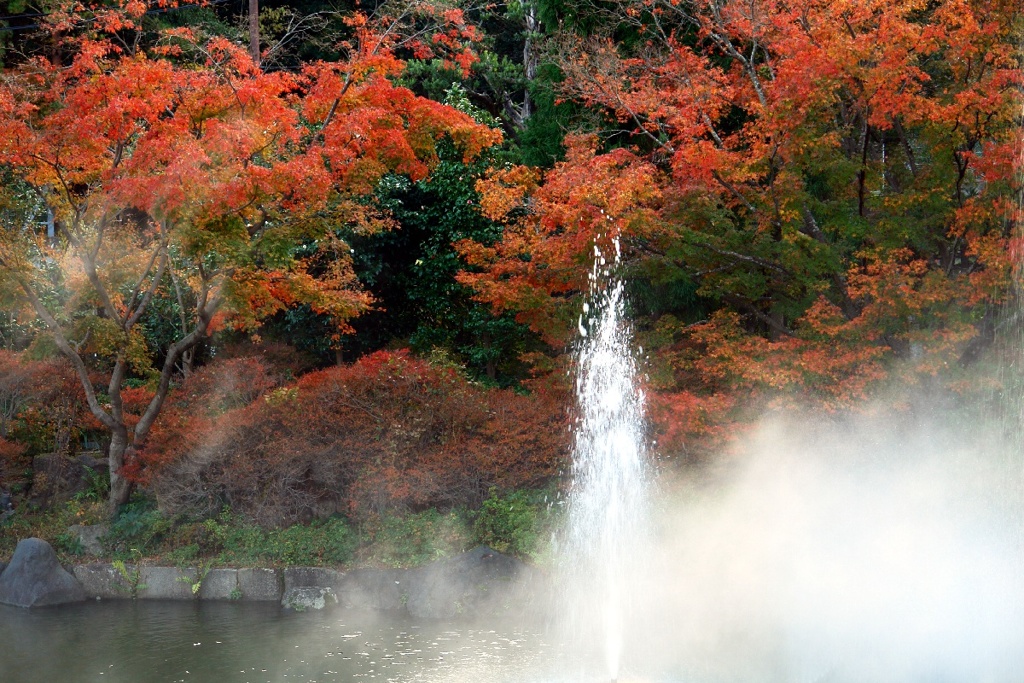 湯煙紅葉旅