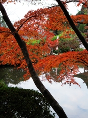 長岳寺ぶつ切り・・・