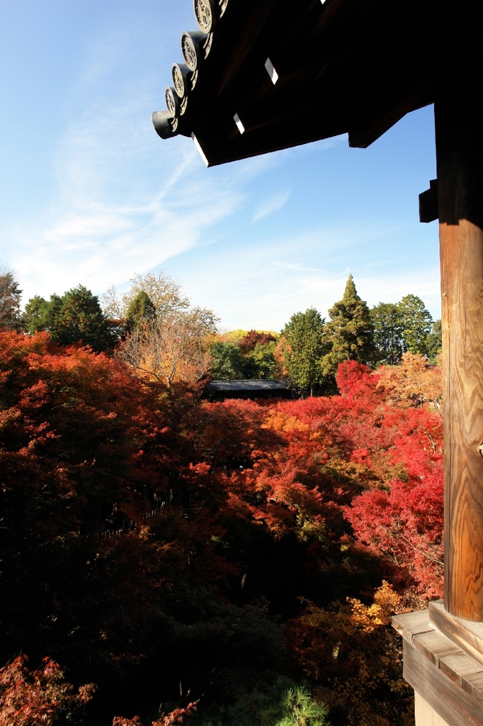 ダイナミック東福寺