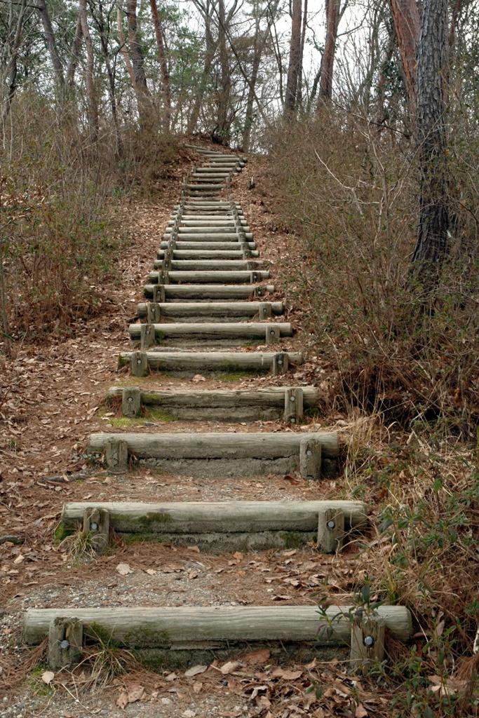 枯れ葉道