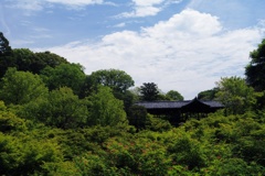 緑に埋もれる