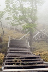 霧の中を進む