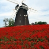 鶴見緑地の風車（赤）