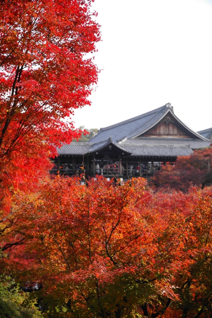 今年も盛況、東福寺