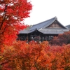 今年も盛況、東福寺