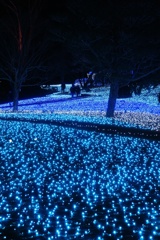 blue light