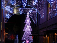 世間はクリスマスだな！