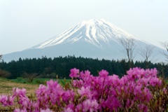 遥かなり富士山