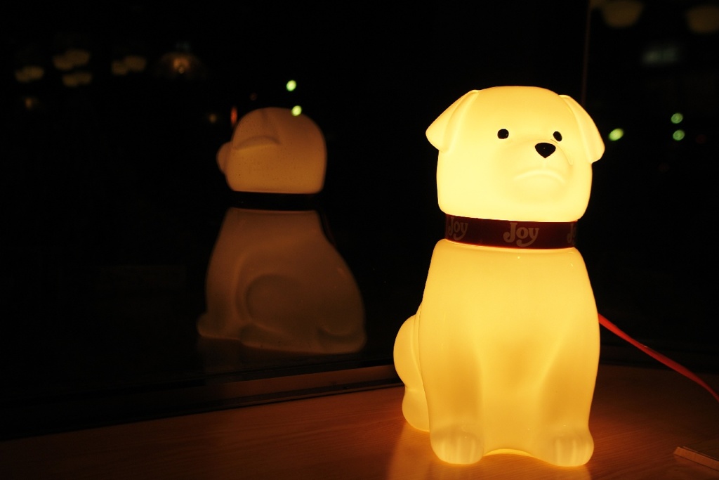 Joy犬