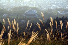 12月なのに、まだ暖かい日