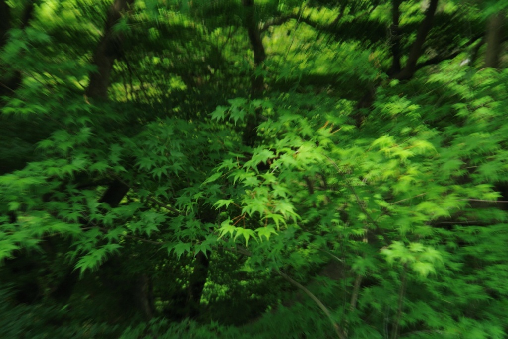 ざわざわ