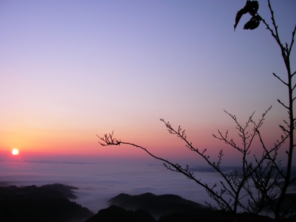 雲の海を渡って