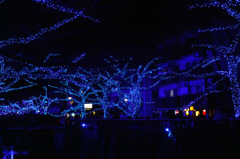 青の洞窟　LED