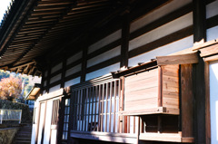 冬の日差し