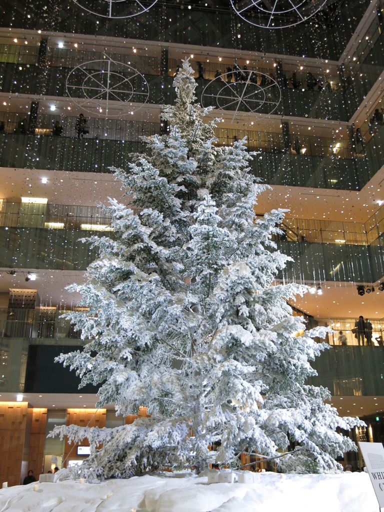 ＫＩＴＴＥのクリスマスツリー