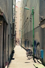 緑のある路地