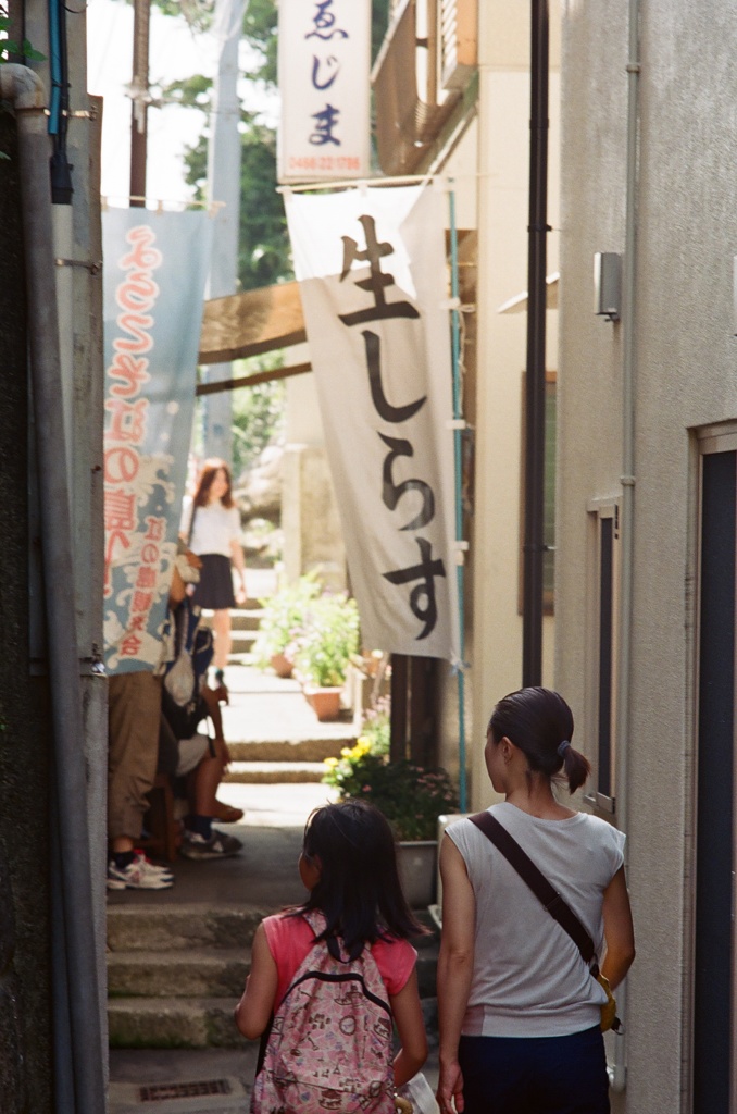 生しらす路地