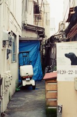 ブルーシートの先に