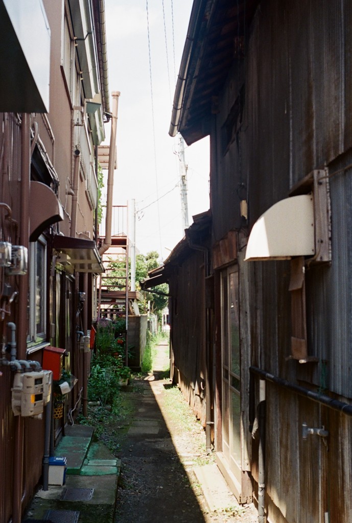通り道