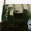 蔦の館