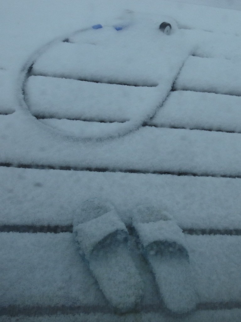 雪膜