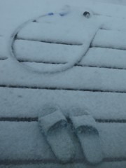 雪膜