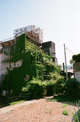 緑の建物と空き地