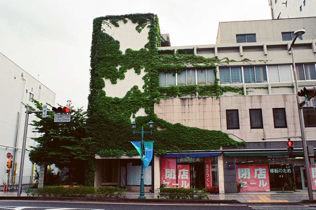 閉店の蔦