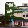 閉店の蔦