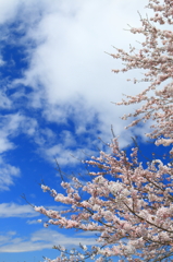 春雨が上がって