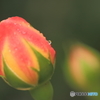 雨天結構_３