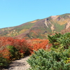 秋の栗駒山
