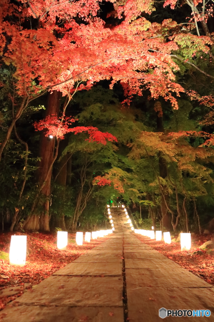 石畳の滑走路