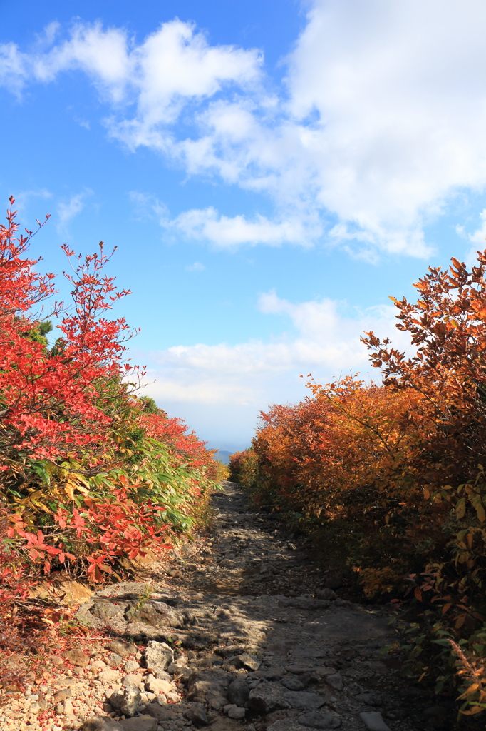 登山日和り