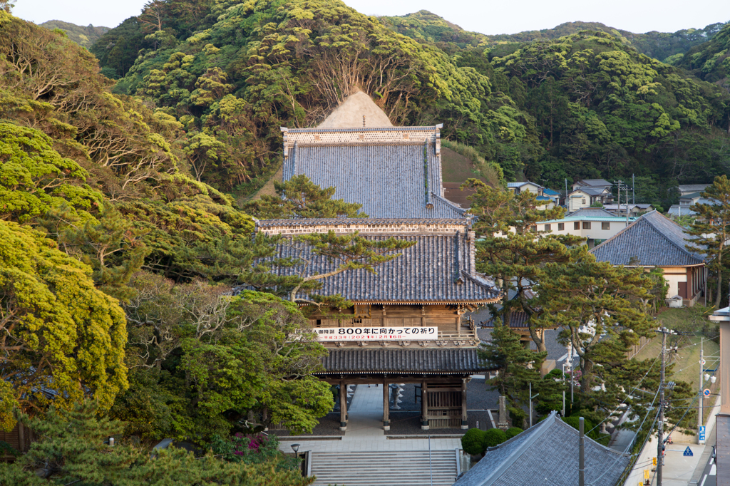 誕生寺