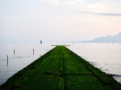 道